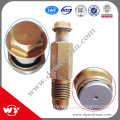 high quality limit pressure valve 095420 0281 common rail parts                        
                                                Quality Choice